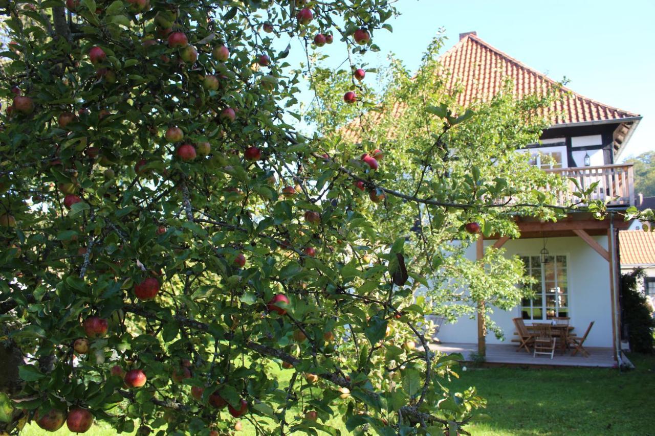 Apartamento Forsthaus In Waldhessen Bauhaus Exterior foto