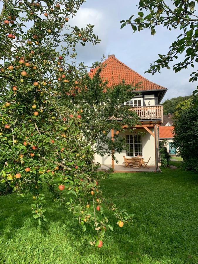 Apartamento Forsthaus In Waldhessen Bauhaus Exterior foto